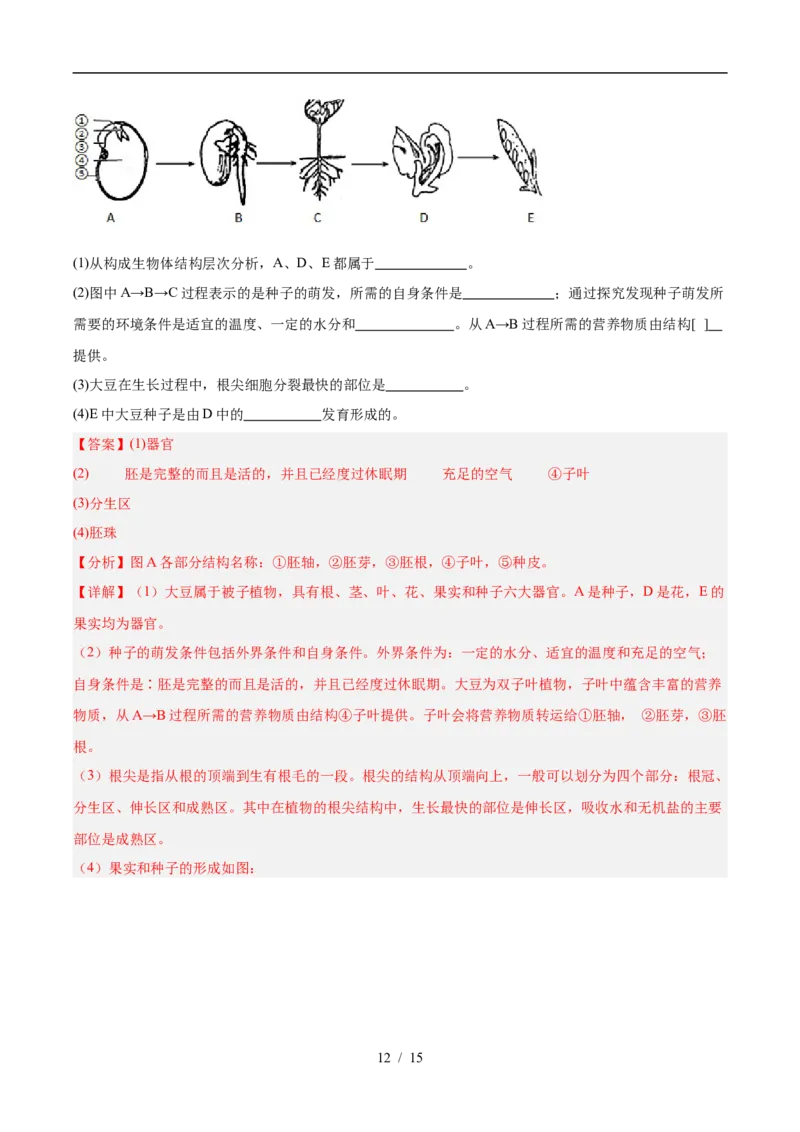 生物（广西卷）（全解全析）_2025年初中《中考第一次模拟》全国各地区模拟卷（8科全）(1)_2025年《中考第一次模拟卷》初中生物_广西&radic;