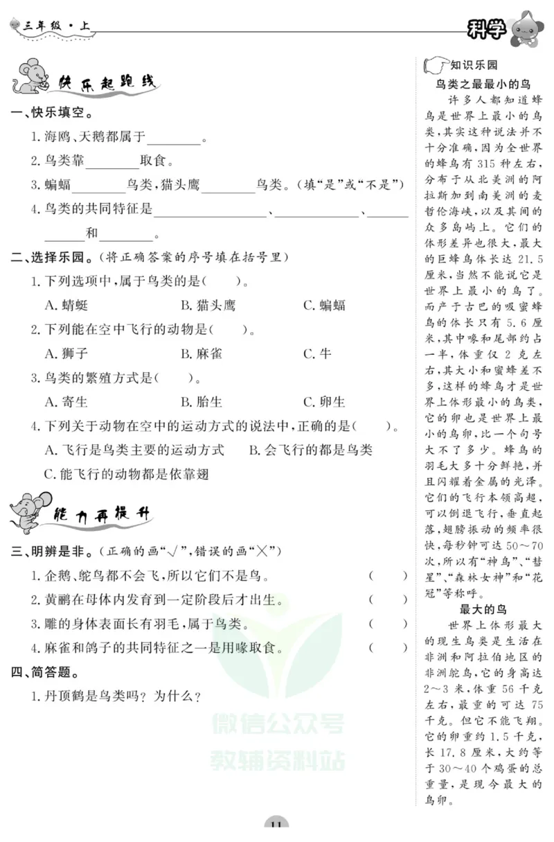 智能训练&middot;科学三年级上册大象版_2024年人教版小学数学一二三四五六年级上册下册期中期末试a0747_小学全科《同步练习+精品试卷》打包下载（1-6年级单元月考期中期末试卷）_小学科学