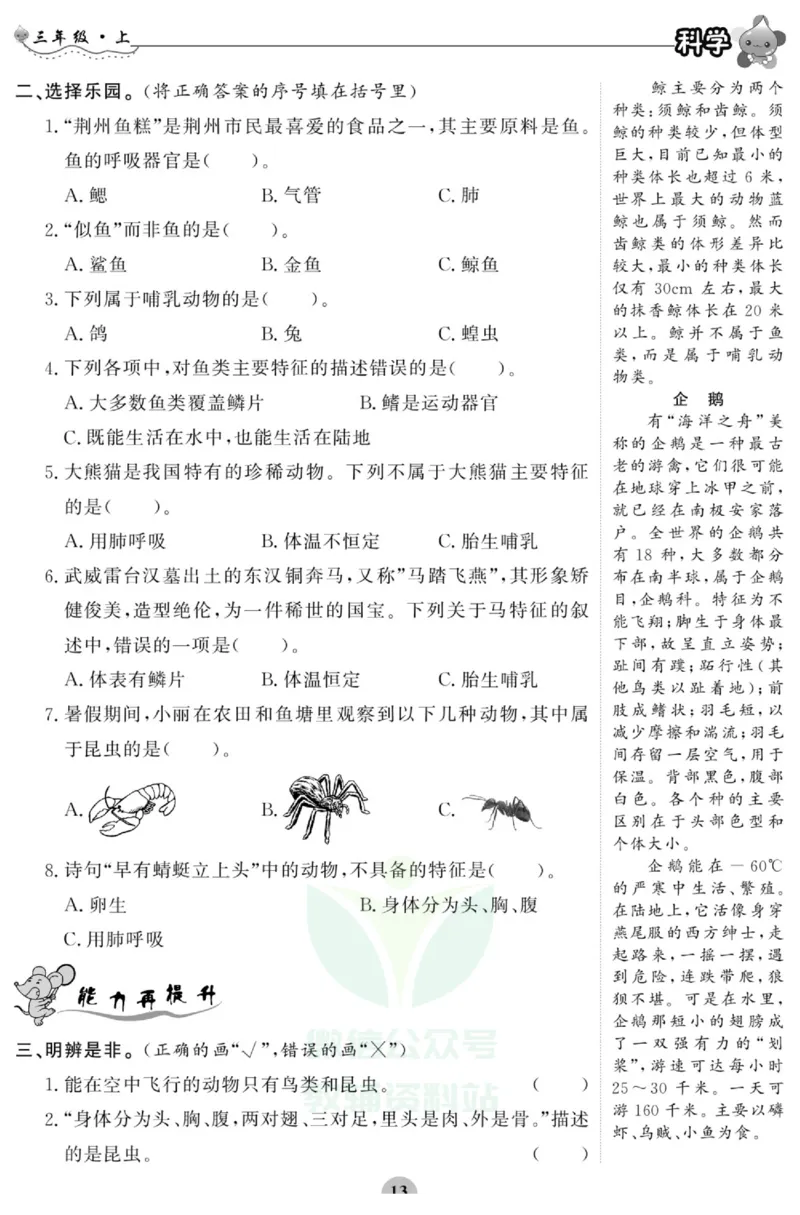 智能训练&middot;科学三年级上册大象版_2024年人教版小学数学一二三四五六年级上册下册期中期末试a0747_小学全科《同步练习+精品试卷》打包下载（1-6年级单元月考期中期末试卷）_小学科学