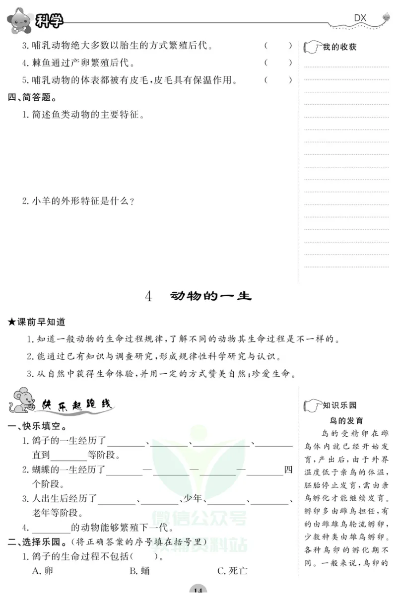 智能训练&middot;科学三年级上册大象版_2024年人教版小学数学一二三四五六年级上册下册期中期末试a0747_小学全科《同步练习+精品试卷》打包下载（1-6年级单元月考期中期末试卷）_小学科学