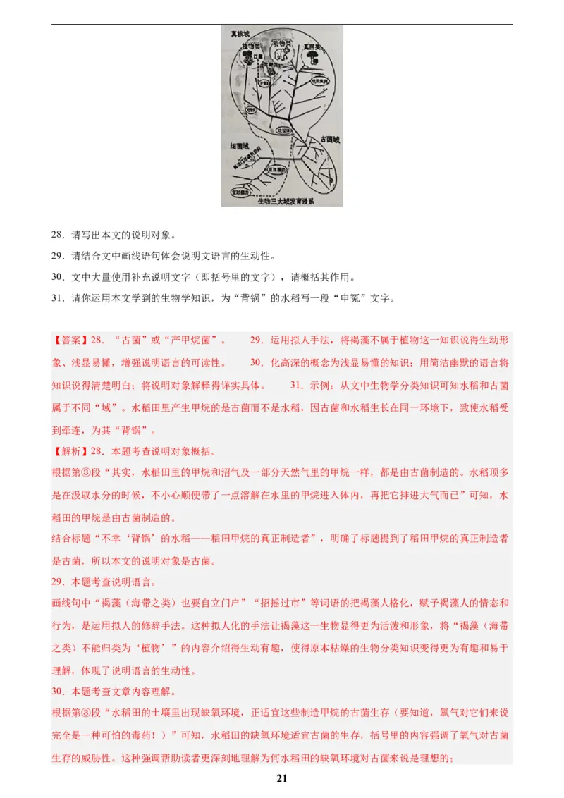 专题21说明文阅读(解析版)_2023-2025《3年中考1年模拟》真题分类汇编（语文、数学）(1)_2023-2025《3年中考1年模拟真题分类汇编》语文