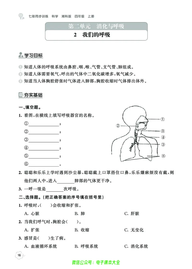 湘科版4a_2024年人教版小学数学一二三四五六年级上册下册期中期末试a0747_小学全科《同步练习+精品试卷》打包下载（1-6年级单元月考期中期末试卷）_小学科学_《七彩同步训练》