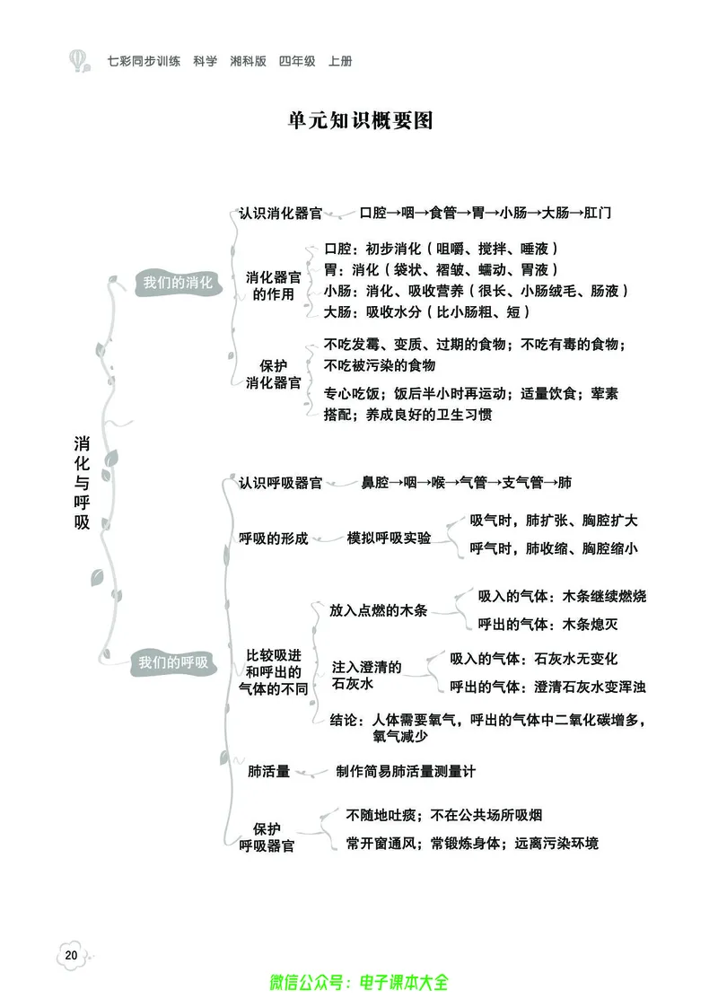 湘科版4a_2024年人教版小学数学一二三四五六年级上册下册期中期末试a0747_小学全科《同步练习+精品试卷》打包下载（1-6年级单元月考期中期末试卷）_小学科学_《七彩同步训练》