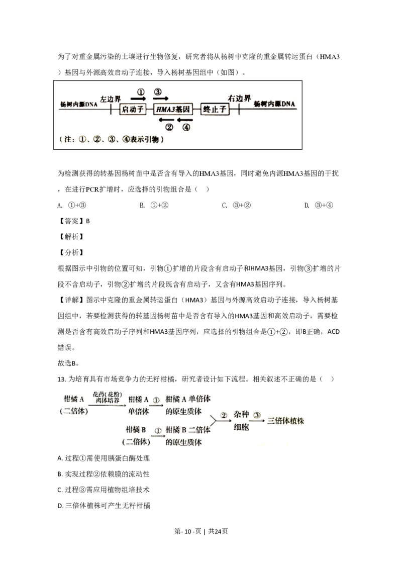2020年高考生物试卷（北京）（解析卷）_生物历年高考真题_新&middot;PDF版2008-2025&middot;高考生物真题_生物（按试卷类型分类）2008-2025_自主命题卷&middot;生物（2008-2025）_北京自主命题&middot;生物（2008-2025）