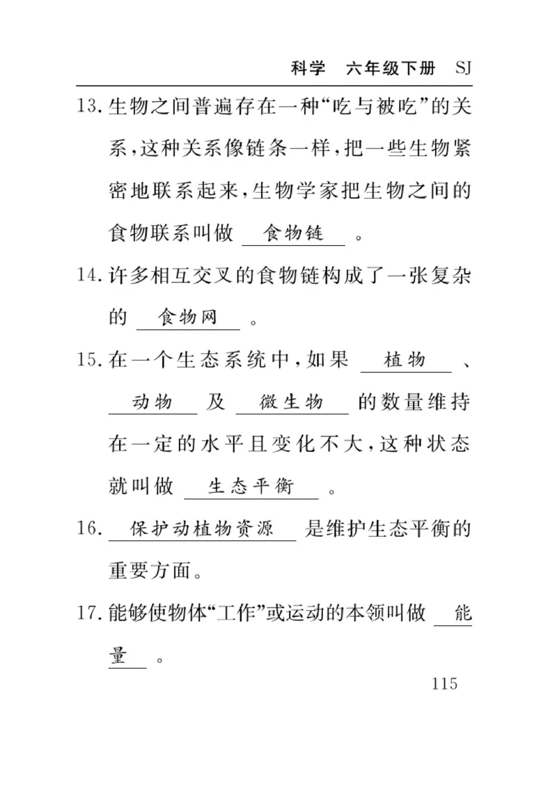 苏教版科学六年级下册速记速查_2024年人教版小学数学一二三四五六年级上册下册期中期末试a0747_小学全科《同步练习+精品试卷》打包下载（1-6年级单元月考期中期末试卷）_小学科学