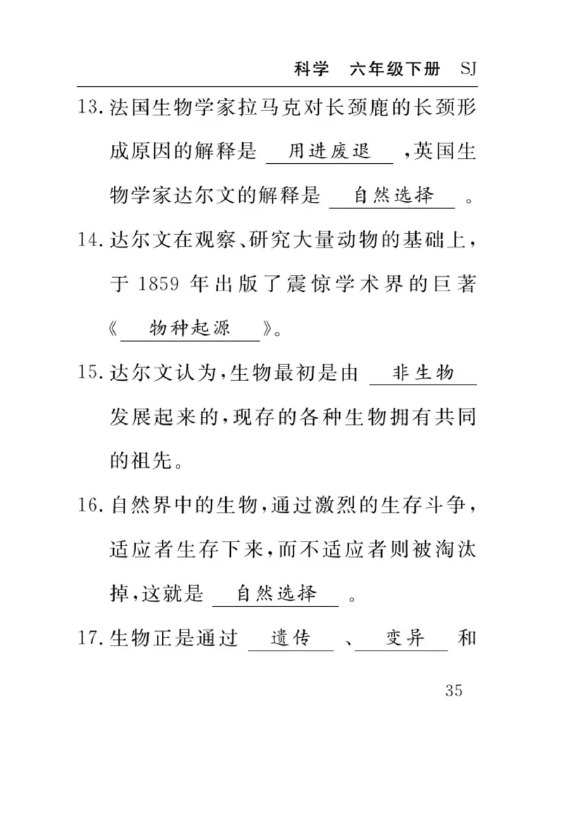 苏教版科学六年级下册速记速查_2024年人教版小学数学一二三四五六年级上册下册期中期末试a0747_小学全科《同步练习+精品试卷》打包下载（1-6年级单元月考期中期末试卷）_小学科学