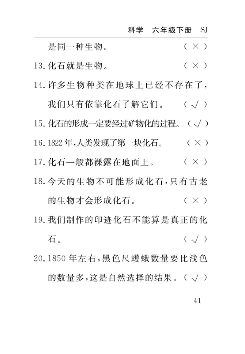 苏教版科学六年级下册速记速查_2024年人教版小学数学一二三四五六年级上册下册期中期末试a0747_小学全科《同步练习+精品试卷》打包下载（1-6年级单元月考期中期末试卷）_小学科学