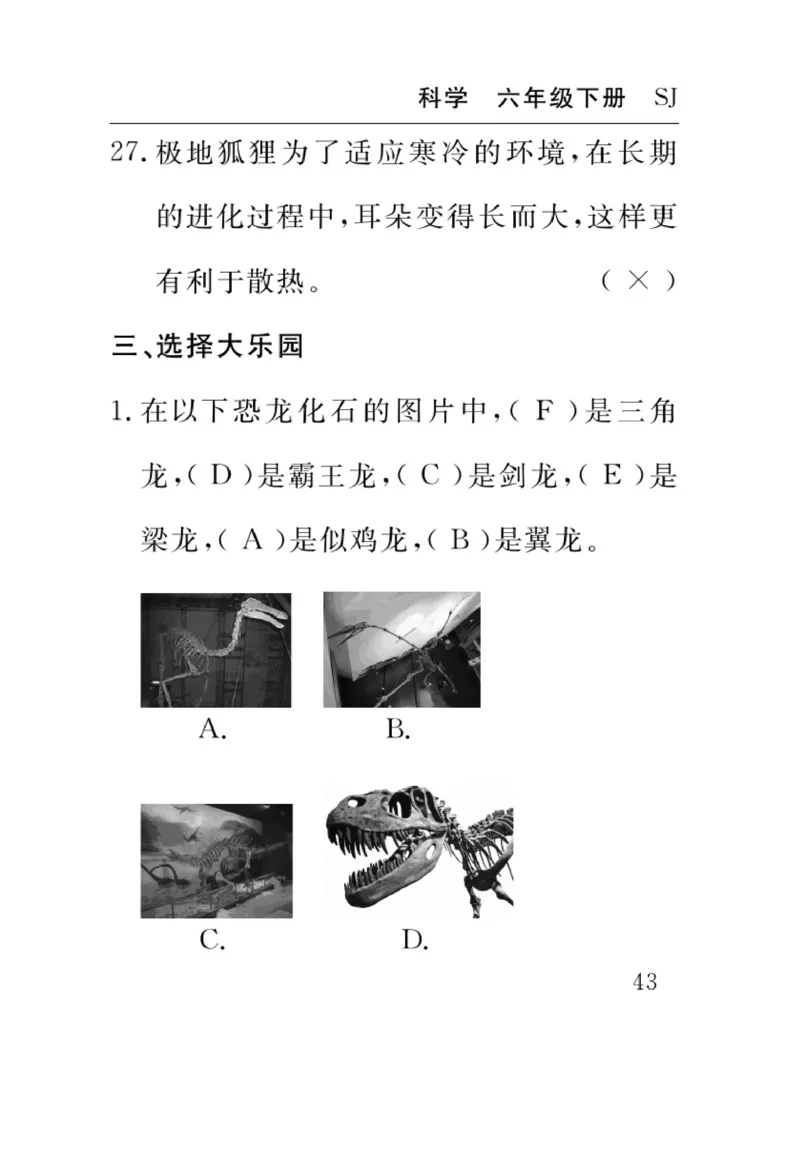 苏教版科学六年级下册速记速查_2024年人教版小学数学一二三四五六年级上册下册期中期末试a0747_小学全科《同步练习+精品试卷》打包下载（1-6年级单元月考期中期末试卷）_小学科学