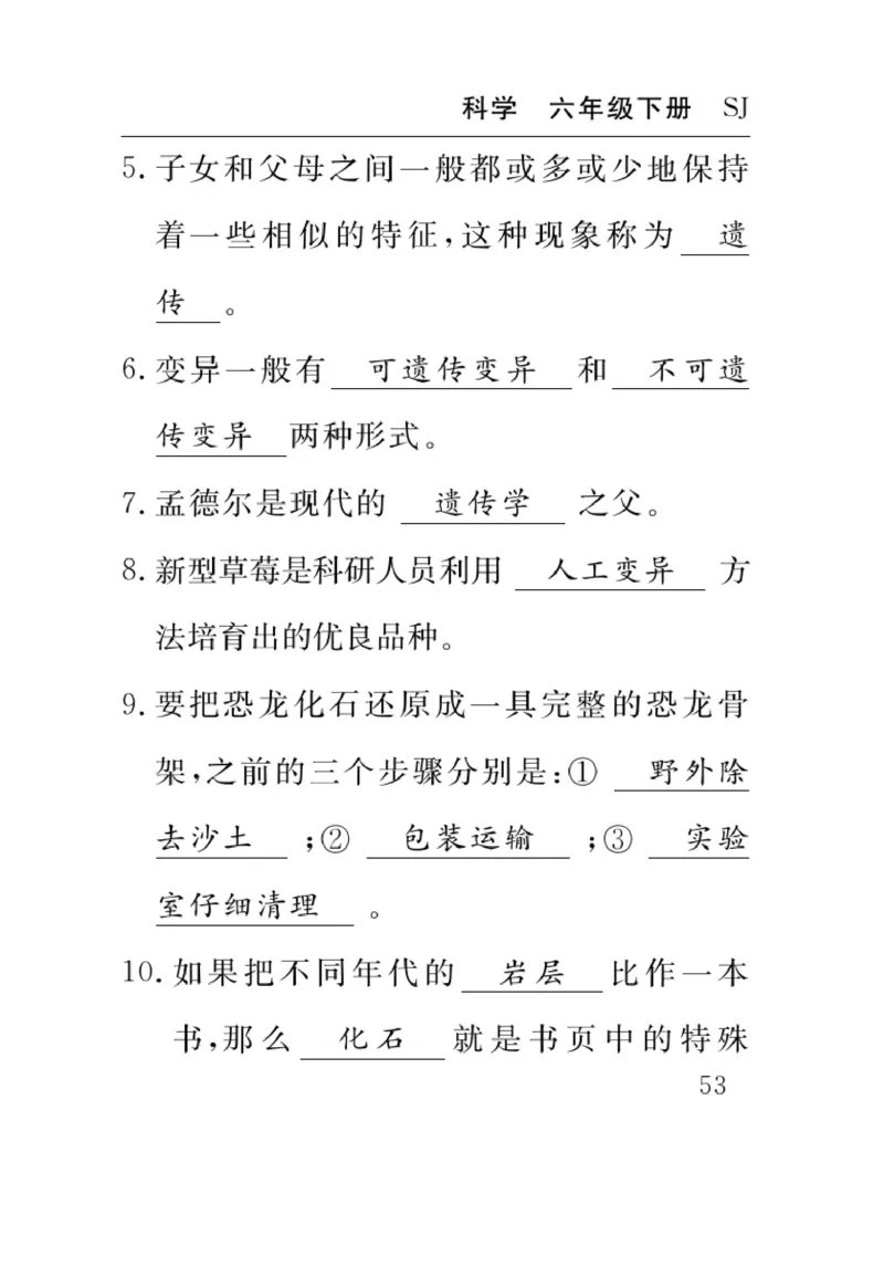 苏教版科学六年级下册速记速查_2024年人教版小学数学一二三四五六年级上册下册期中期末试a0747_小学全科《同步练习+精品试卷》打包下载（1-6年级单元月考期中期末试卷）_小学科学