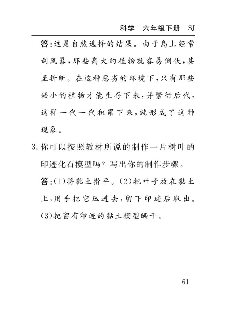 苏教版科学六年级下册速记速查_2024年人教版小学数学一二三四五六年级上册下册期中期末试a0747_小学全科《同步练习+精品试卷》打包下载（1-6年级单元月考期中期末试卷）_小学科学