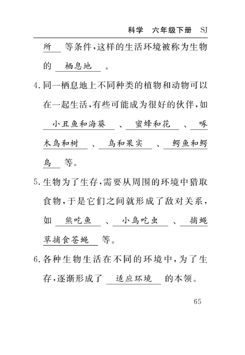 苏教版科学六年级下册速记速查_2024年人教版小学数学一二三四五六年级上册下册期中期末试a0747_小学全科《同步练习+精品试卷》打包下载（1-6年级单元月考期中期末试卷）_小学科学