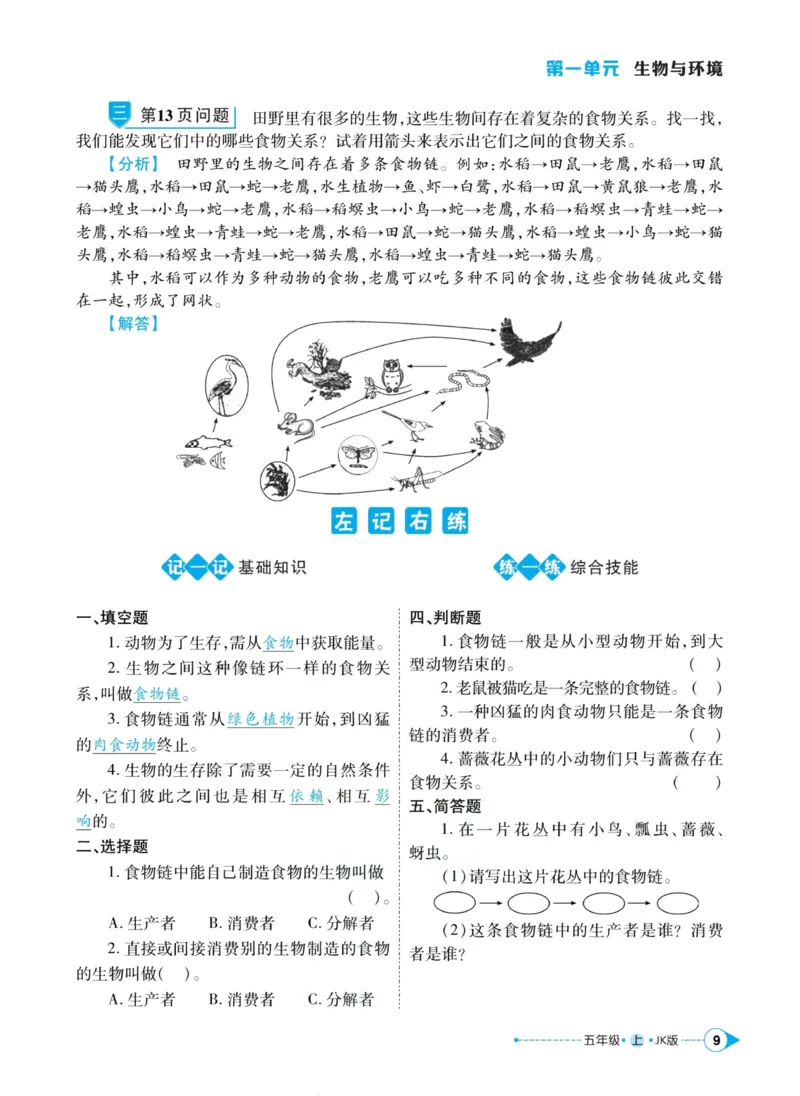 科学教科版左记右练5年级上册_2024年人教版小学数学一二三四五六年级上册下册期中期末试a0747_小学全科《同步练习+精品试卷》打包下载（1-6年级单元月考期中期末试卷）_小学科学