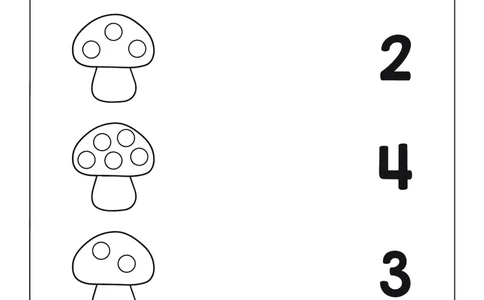 数学综合_幼小语数英专项资料_幼小数学专项