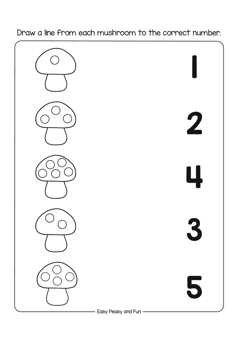 数学综合_幼小语数英专项资料_幼小数学专项