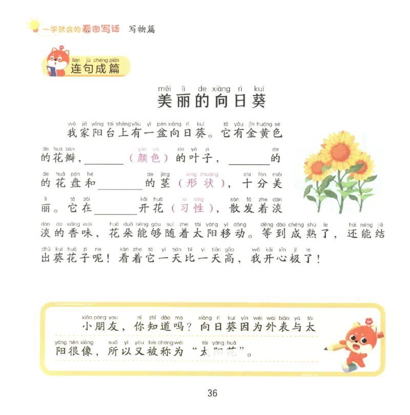 一学就会的看图写话(写物篇)(1)_一学就会的看图写话