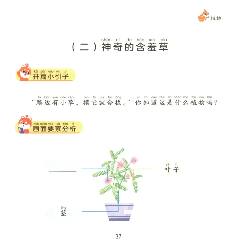 一学就会的看图写话(写物篇)(1)_一学就会的看图写话