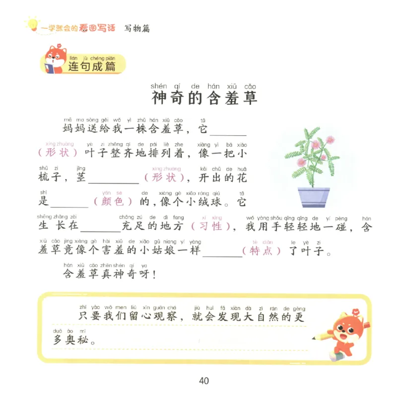 一学就会的看图写话(写物篇)(1)_一学就会的看图写话