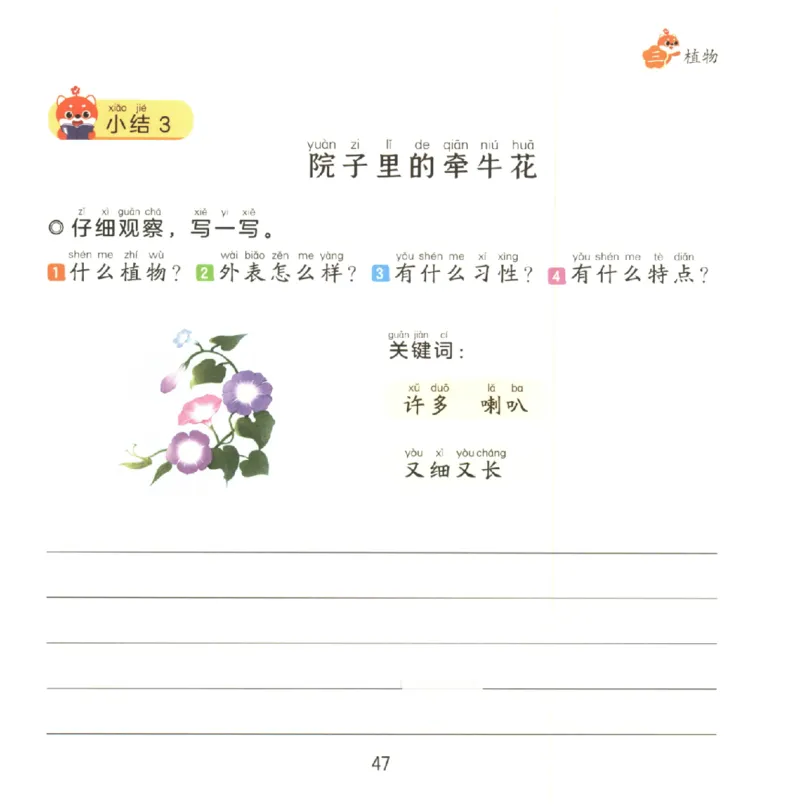 一学就会的看图写话(写物篇)(1)_一学就会的看图写话