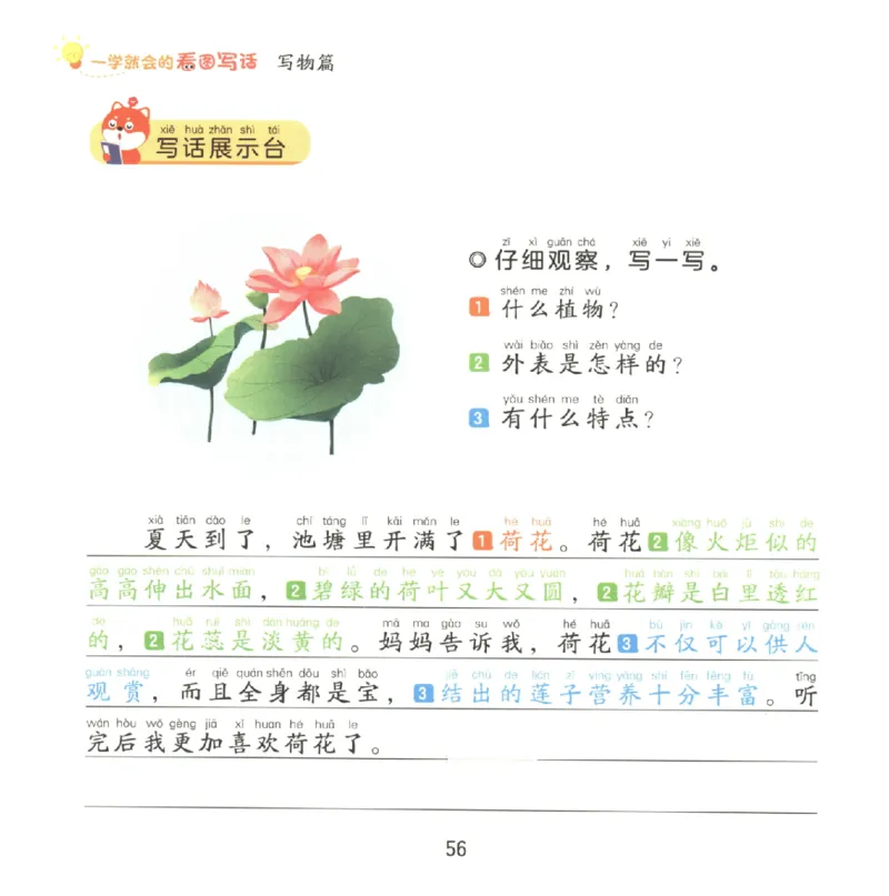 一学就会的看图写话(写物篇)(1)_一学就会的看图写话