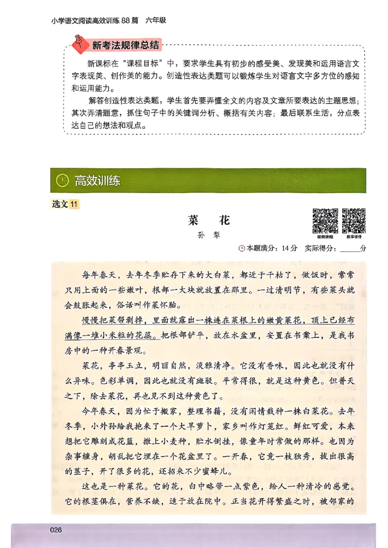 2026版六年级木头马88篇高效训练-副本_26版高效阅读88篇六年级