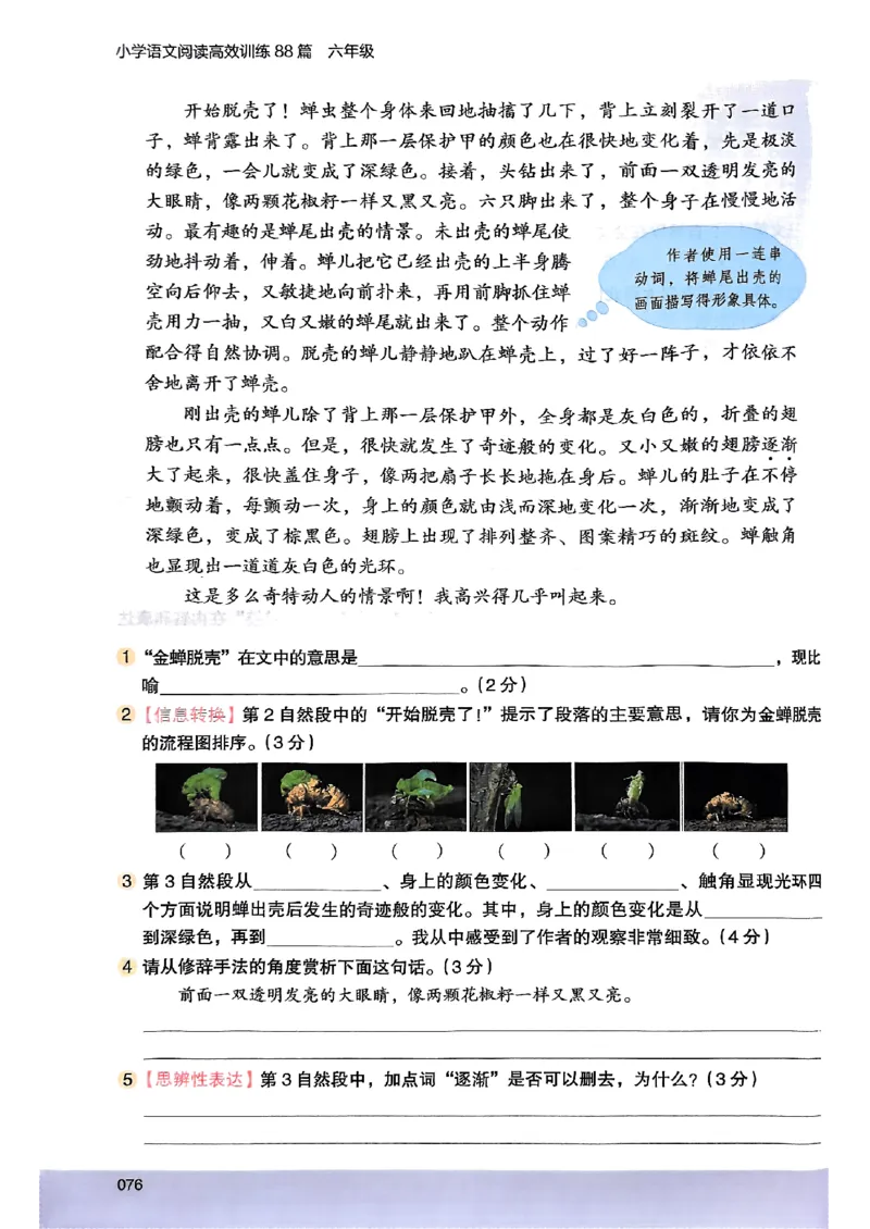 2026版六年级木头马88篇高效训练-副本_26版高效阅读88篇六年级