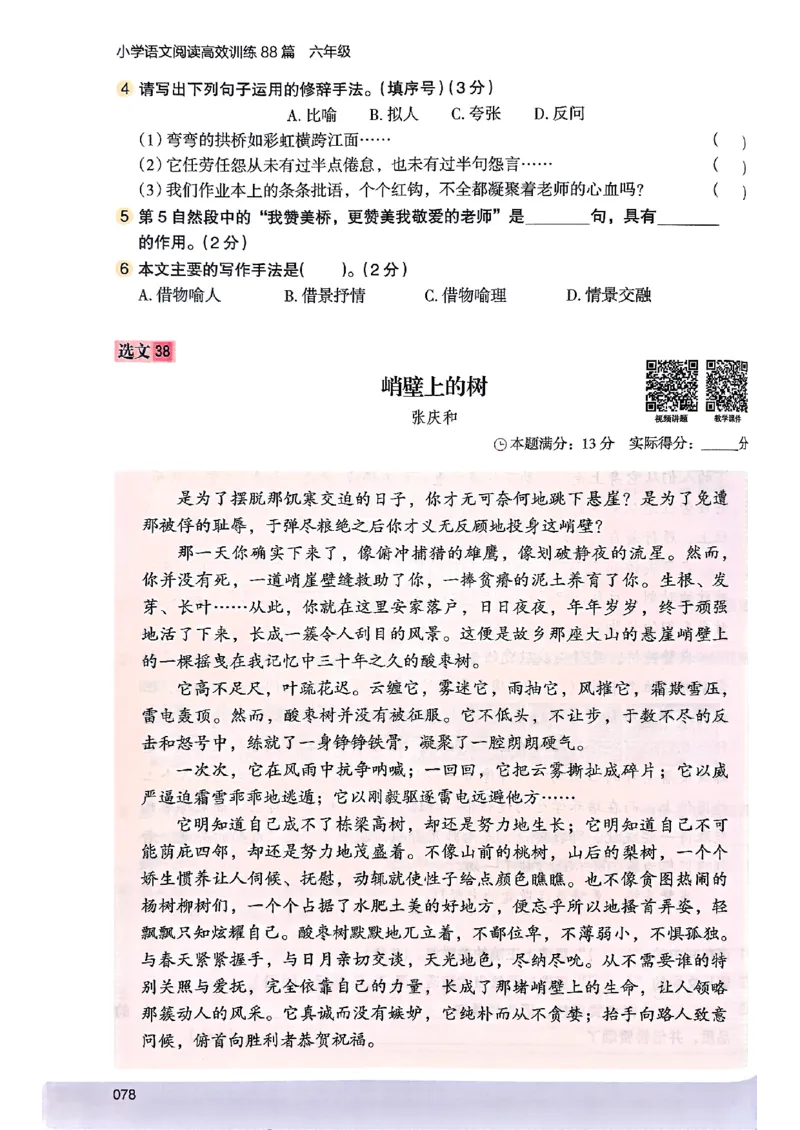 2026版六年级木头马88篇高效训练-副本_26版高效阅读88篇六年级