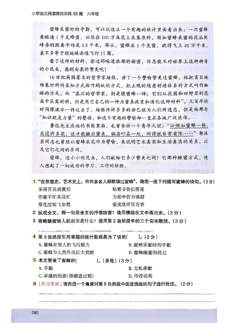2026版六年级木头马88篇高效训练-副本_26版高效阅读88篇六年级