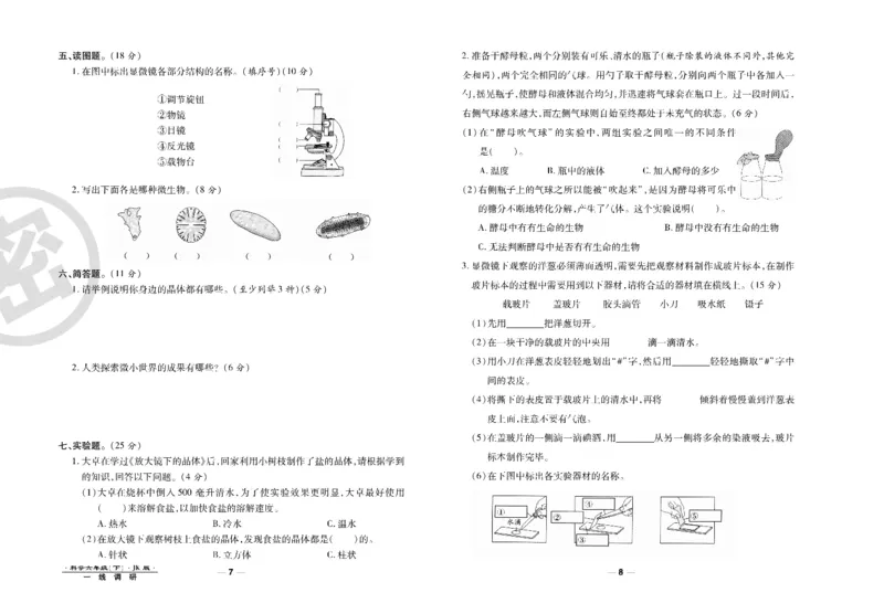 科学教科版试卷6年级下册_2024年人教版小学数学一二三四五六年级上册下册期中期末试a0747_小学全科《同步练习+精品试卷》打包下载（1-6年级单元月考期中期末试卷）_小学科学