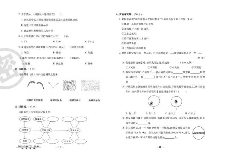 科学教科版试卷6年级下册_2024年人教版小学数学一二三四五六年级上册下册期中期末试a0747_小学全科《同步练习+精品试卷》打包下载（1-6年级单元月考期中期末试卷）_小学科学