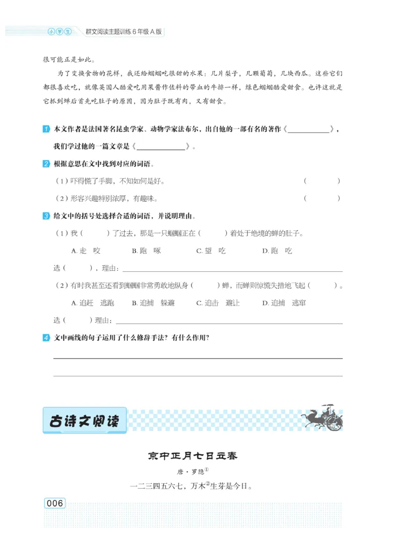 《群文阅读主题训练》语文6年级上册（RJ）