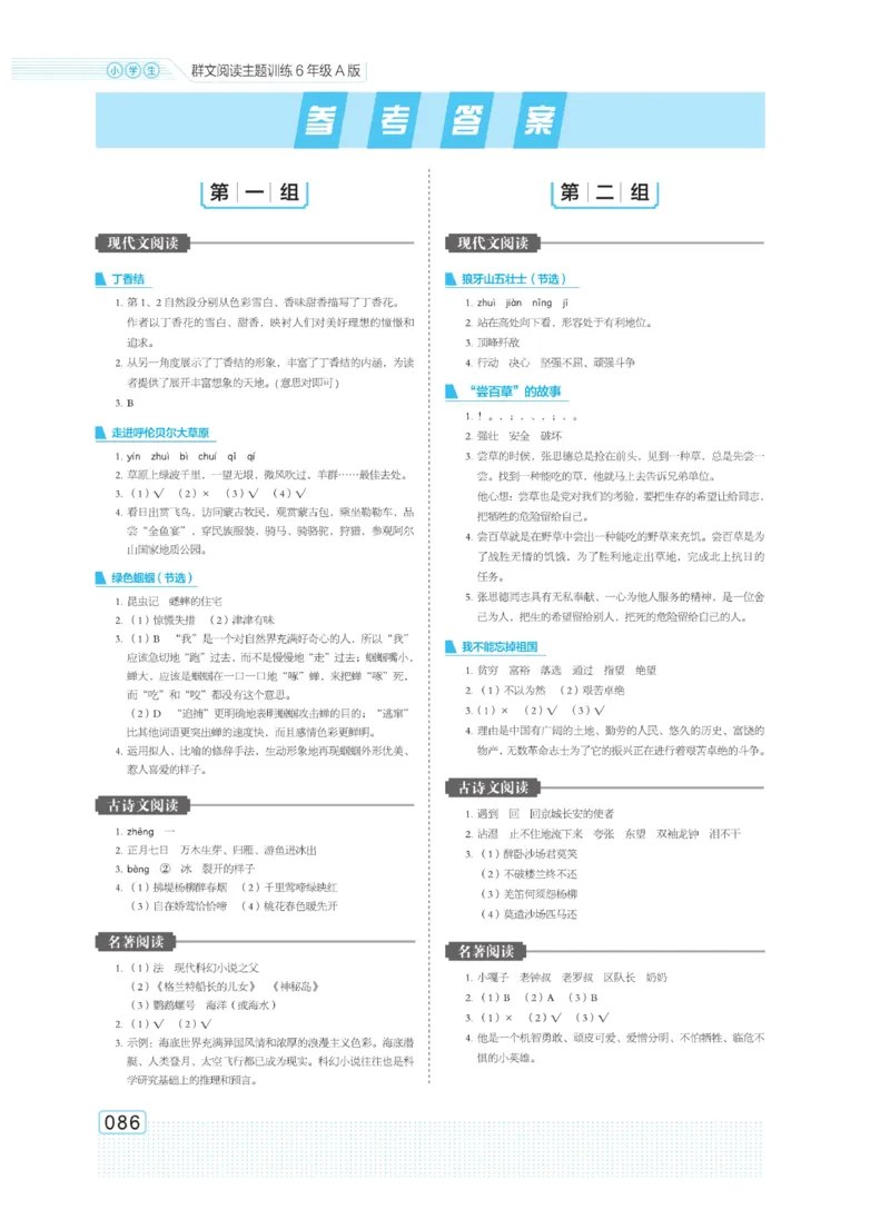 《群文阅读主题训练》语文6年级上册（RJ）
