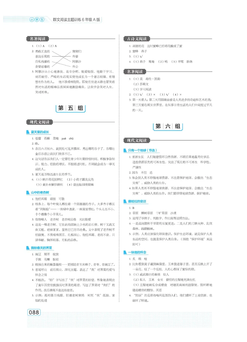 《群文阅读主题训练》语文6年级上册（RJ）