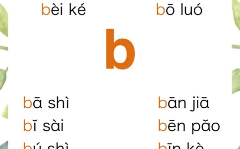 R684原创无汉字读拼音闪卡-声母_拼音专项