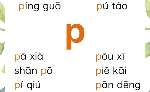 R684原创无汉字读拼音闪卡-声母_拼音专项