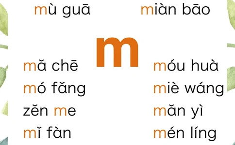 R684原创无汉字读拼音闪卡-声母_拼音专项