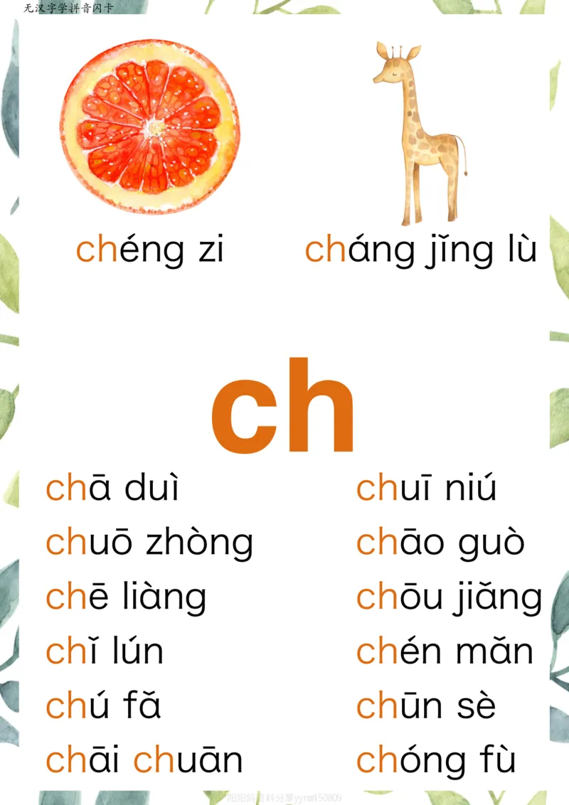 R684原创无汉字读拼音闪卡-声母_拼音专项