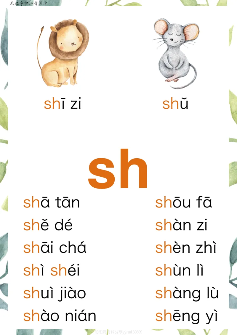 R684原创无汉字读拼音闪卡-声母_拼音专项