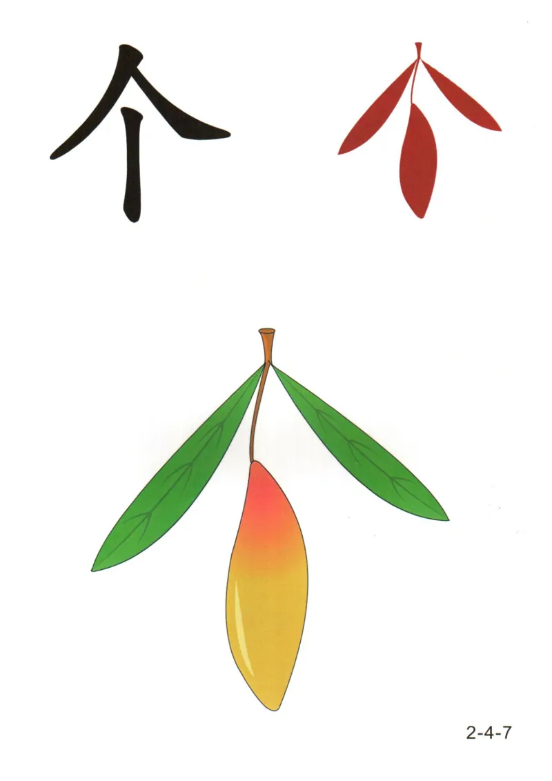 识字看图识字记忆闪卡-第二集_幼小语数英专项资料_幼小语文专项