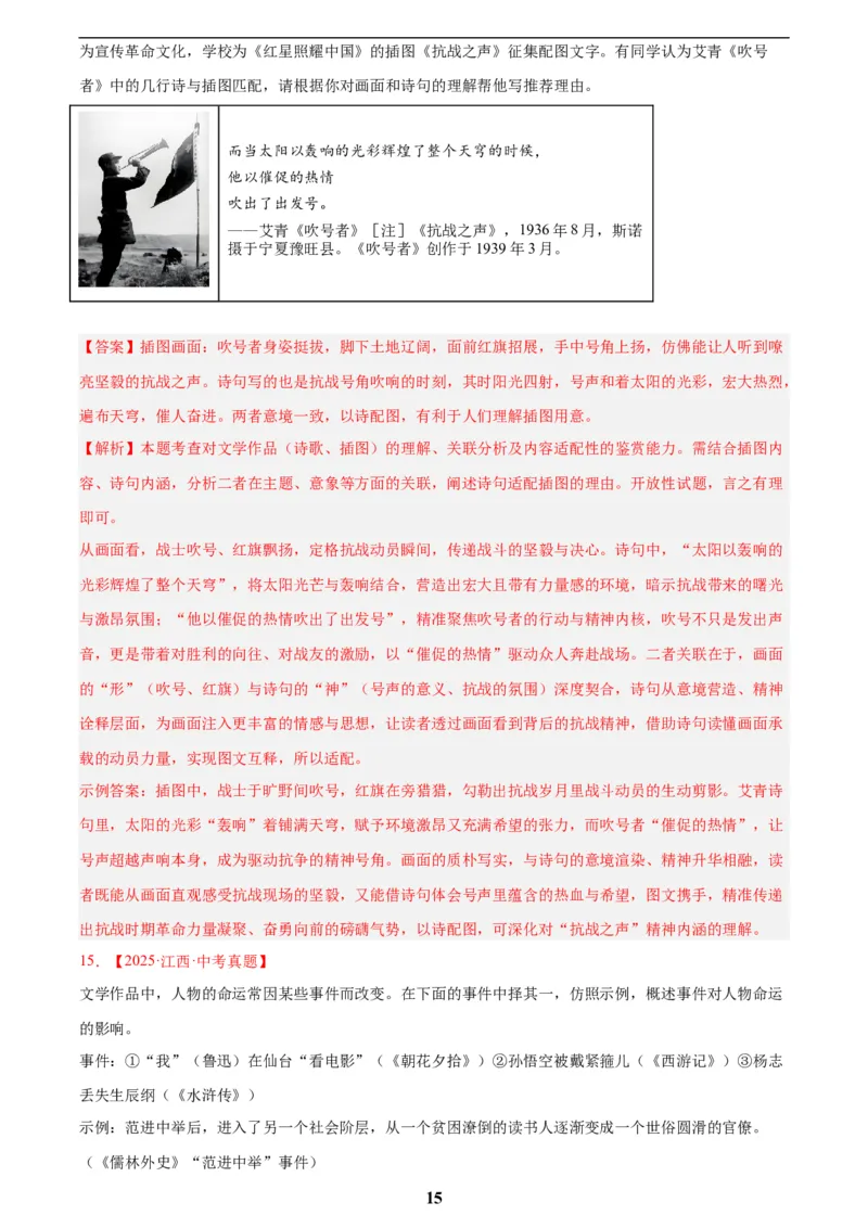 专题09名著导读(解析版)_2023-2025《3年中考1年模拟真题分类汇编》语文