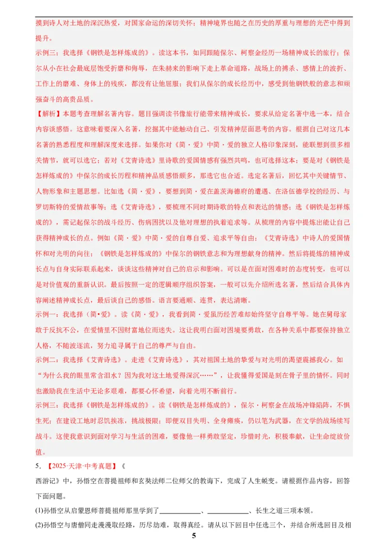 专题09名著导读(解析版)_2023-2025《3年中考1年模拟真题分类汇编》语文