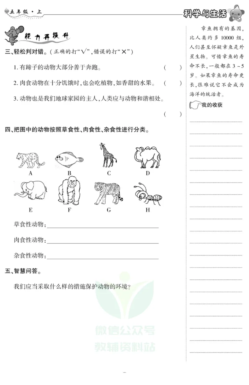 智能训练&middot;科学五年级上册冀人版_2024年人教版小学数学一二三四五六年级上册下册期中期末试a0747_小学全科《同步练习+精品试卷》打包下载（1-6年级单元月考期中期末试卷）_小学科学