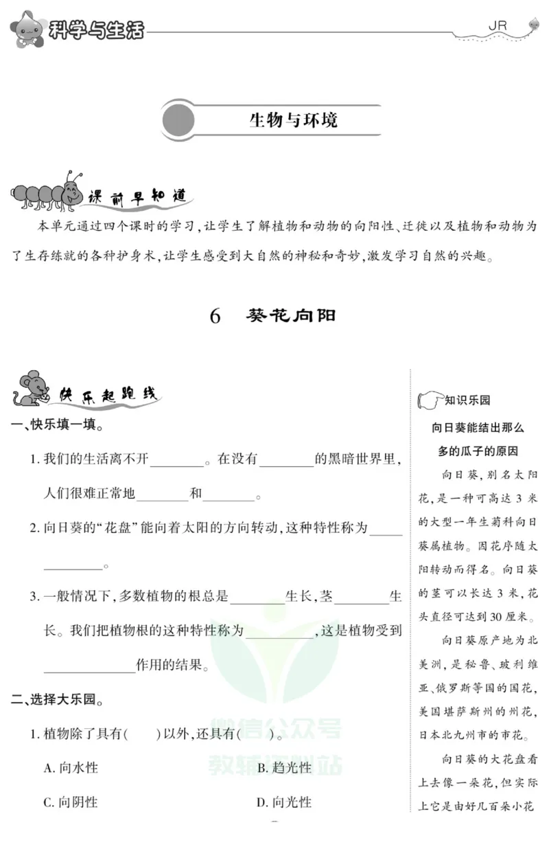 智能训练&middot;科学五年级上册冀人版_2024年人教版小学数学一二三四五六年级上册下册期中期末试a0747_小学全科《同步练习+精品试卷》打包下载（1-6年级单元月考期中期末试卷）_小学科学