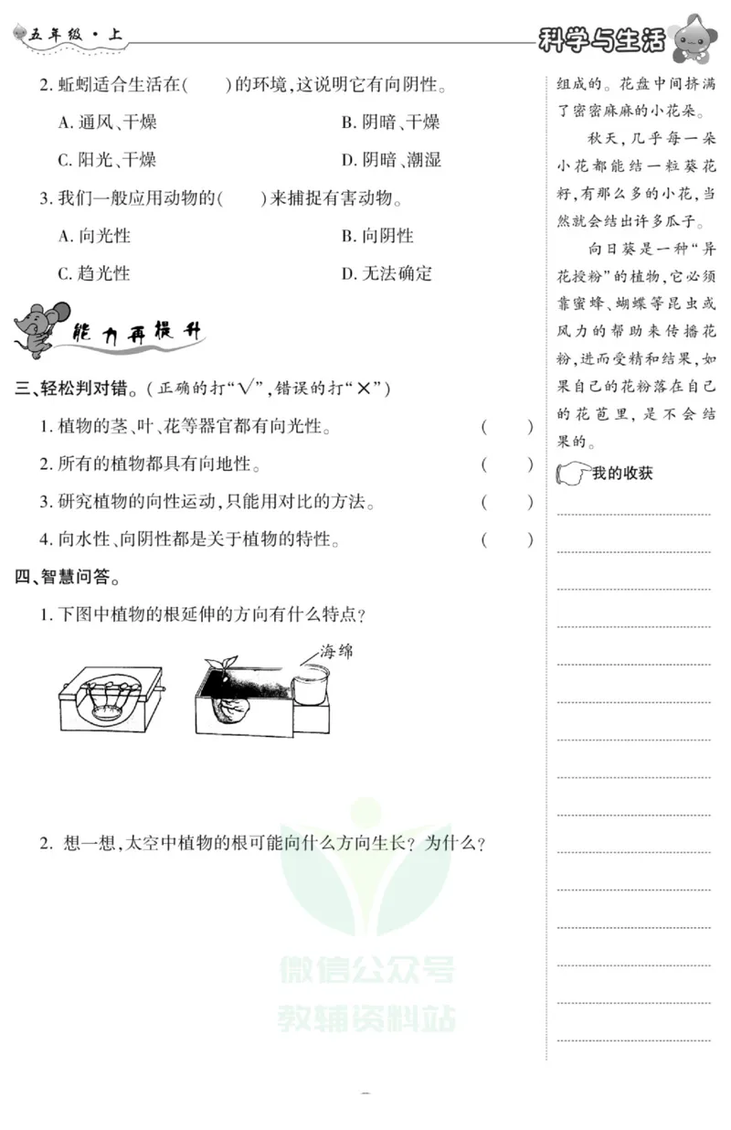 智能训练&middot;科学五年级上册冀人版_2024年人教版小学数学一二三四五六年级上册下册期中期末试a0747_小学全科《同步练习+精品试卷》打包下载（1-6年级单元月考期中期末试卷）_小学科学