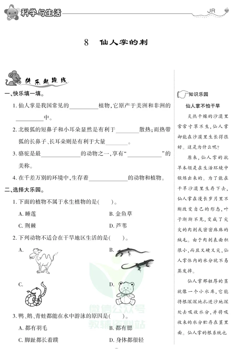 智能训练&middot;科学五年级上册冀人版_2024年人教版小学数学一二三四五六年级上册下册期中期末试a0747_小学全科《同步练习+精品试卷》打包下载（1-6年级单元月考期中期末试卷）_小学科学