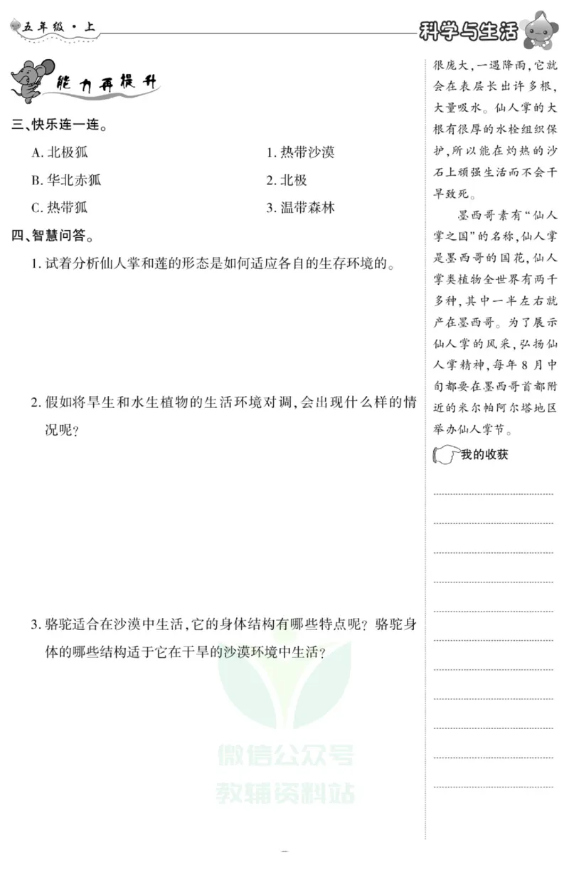 智能训练&middot;科学五年级上册冀人版_2024年人教版小学数学一二三四五六年级上册下册期中期末试a0747_小学全科《同步练习+精品试卷》打包下载（1-6年级单元月考期中期末试卷）_小学科学