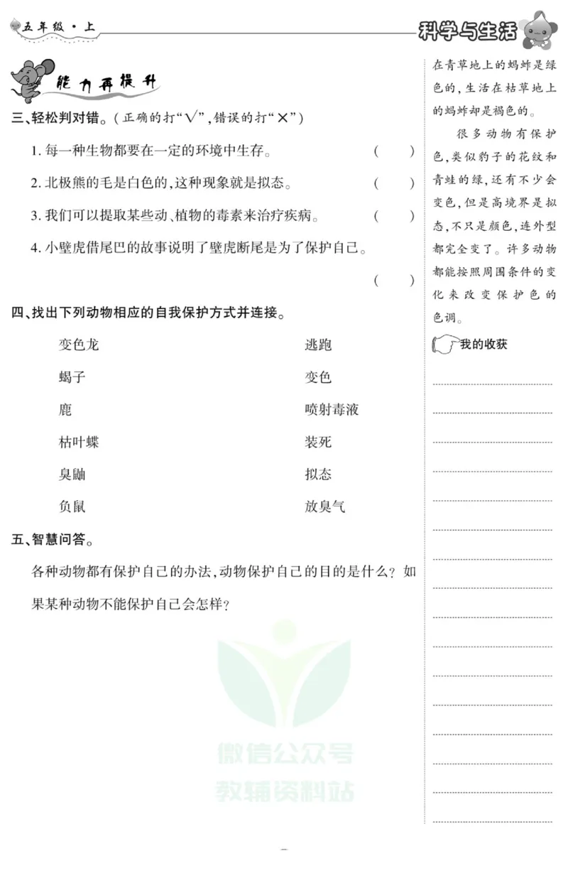 智能训练&middot;科学五年级上册冀人版_2024年人教版小学数学一二三四五六年级上册下册期中期末试a0747_小学全科《同步练习+精品试卷》打包下载（1-6年级单元月考期中期末试卷）_小学科学