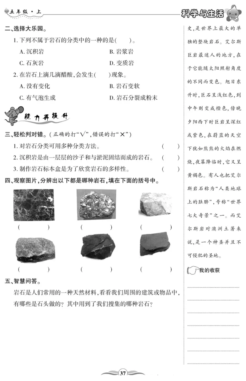 智能训练&middot;科学五年级上册冀人版_2024年人教版小学数学一二三四五六年级上册下册期中期末试a0747_小学全科《同步练习+精品试卷》打包下载（1-6年级单元月考期中期末试卷）_小学科学