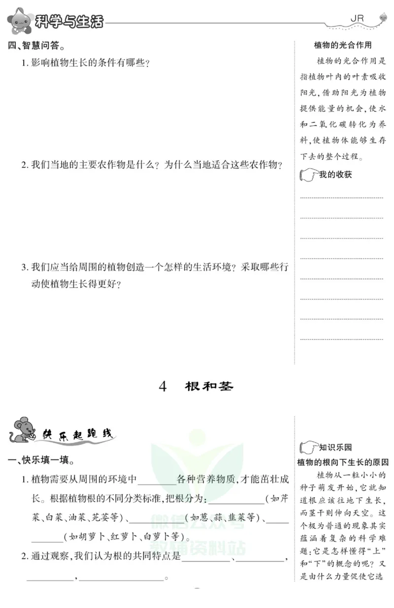 智能训练&middot;科学五年级上册冀人版_2024年人教版小学数学一二三四五六年级上册下册期中期末试a0747_小学全科《同步练习+精品试卷》打包下载（1-6年级单元月考期中期末试卷）_小学科学