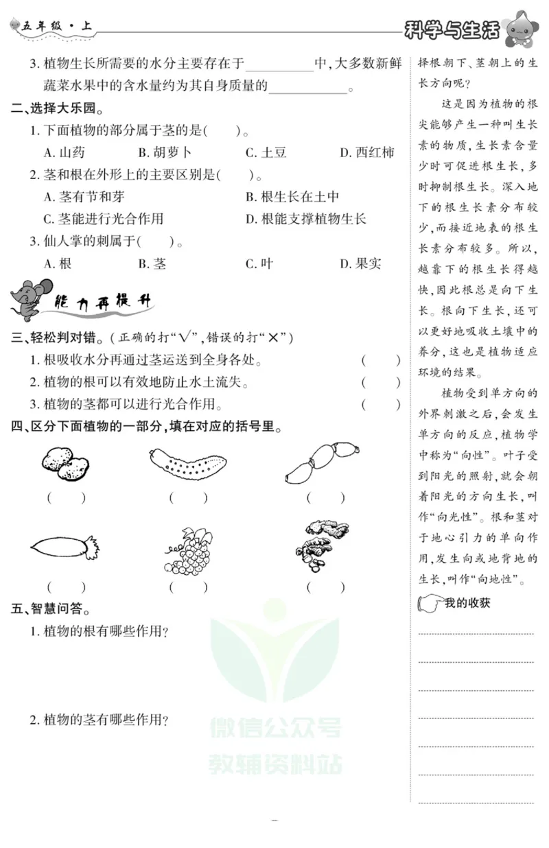 智能训练&middot;科学五年级上册冀人版_2024年人教版小学数学一二三四五六年级上册下册期中期末试a0747_小学全科《同步练习+精品试卷》打包下载（1-6年级单元月考期中期末试卷）_小学科学