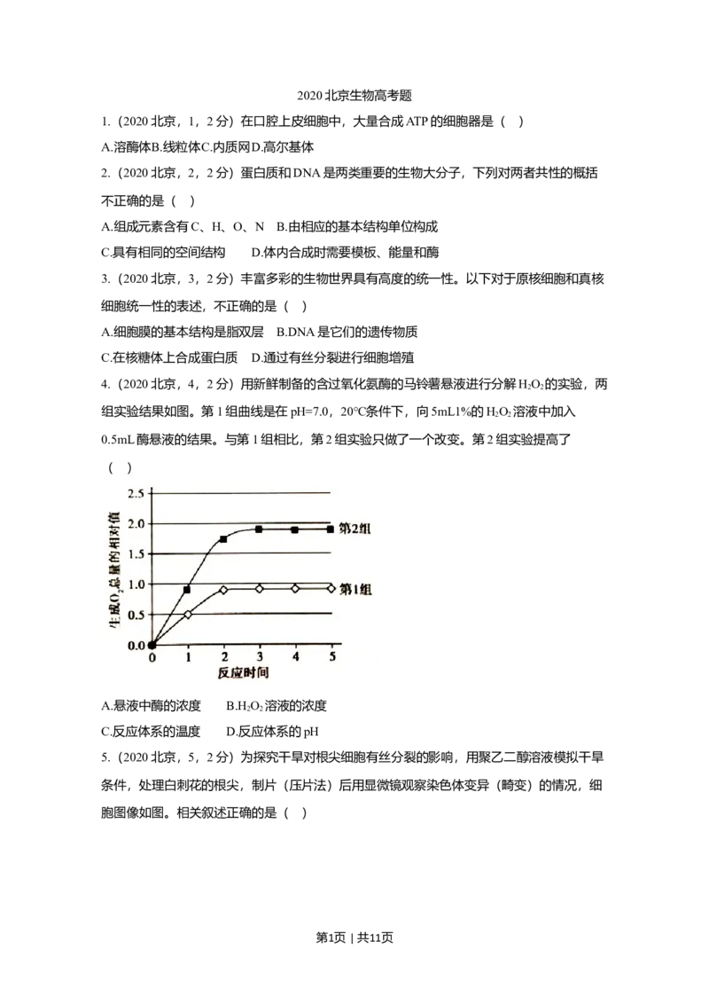 2020年高考生物试卷（北京）（空白卷）_生物历年高考真题_新&middot;Word版2008-2025&middot;高考生物真题_生物（按年份分类）2008-2025_2020&middot;高考生物真题